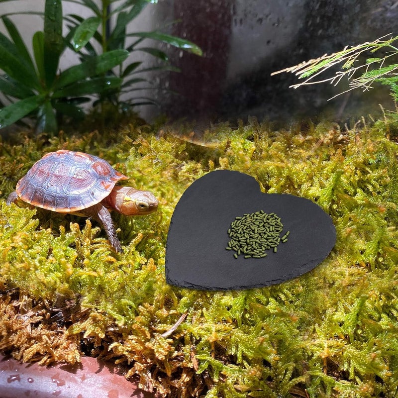 Oooct Reptile Basking Platform, 7.9 × 7.9 inch Tortoise Rock Plate, Heart Shape Natural Rock Reptile Food Dish, Turtle Feeding Bowl, Habitat Decor for Bearded Dragon Chameleon Frog Lizard Gecko Hermit Crab - Image 3